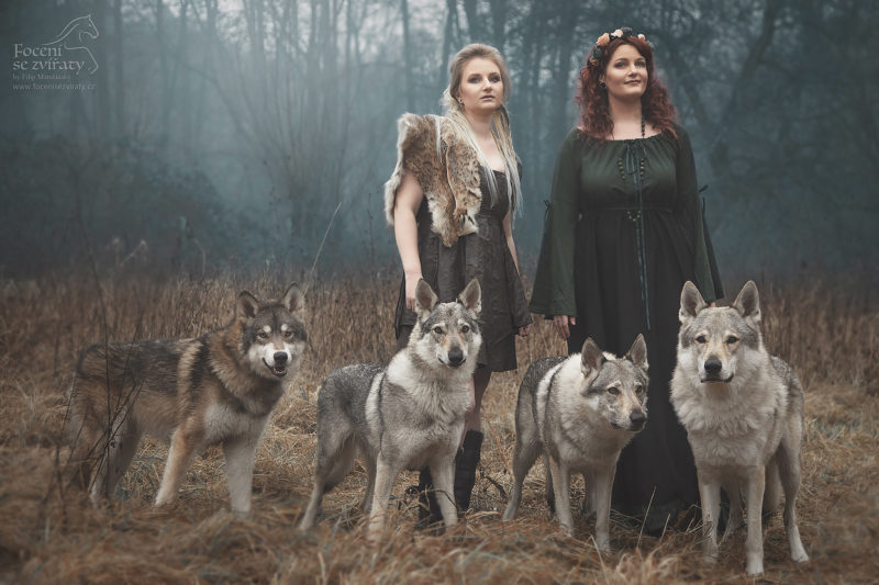 Focení s vlky
