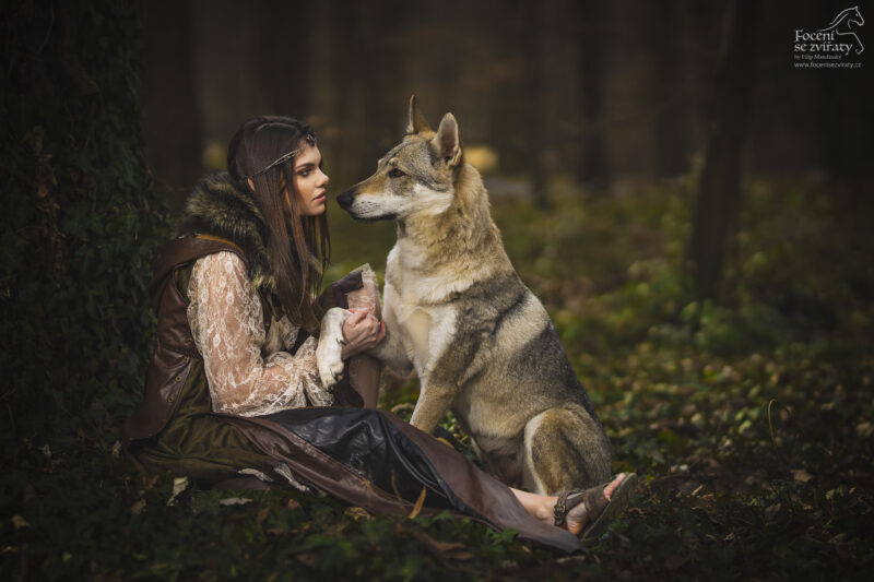 Focení s vlky