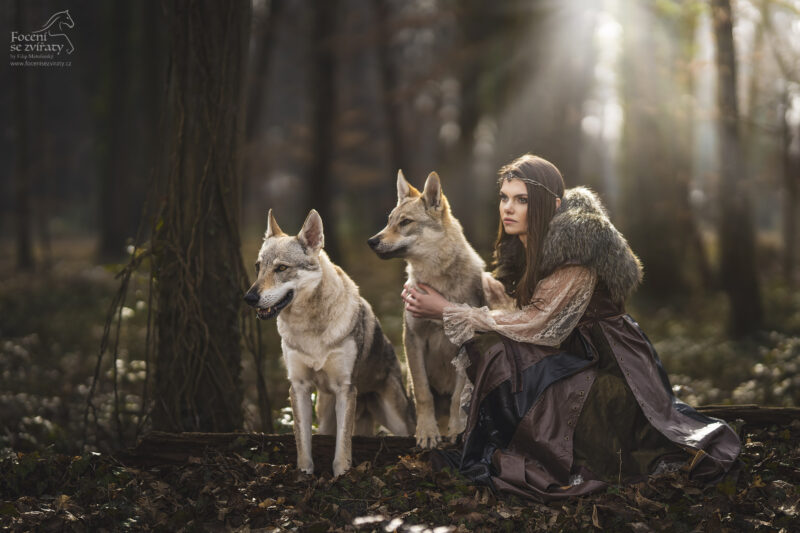 Focení s vlky