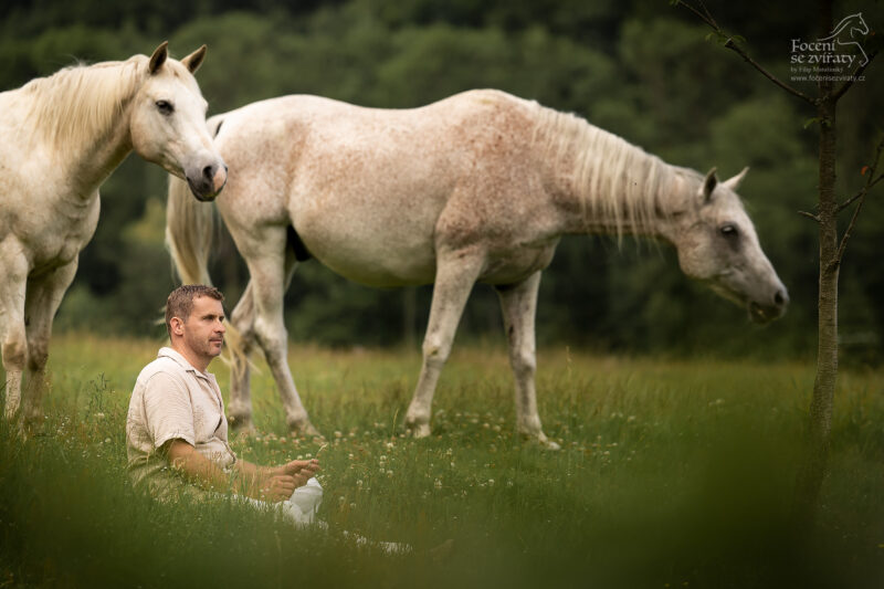 Focení s koňmi