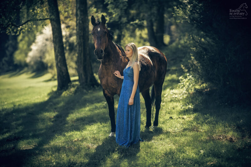 Focení s koňmi
