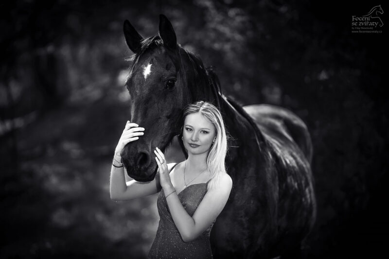 Focení s koňmi