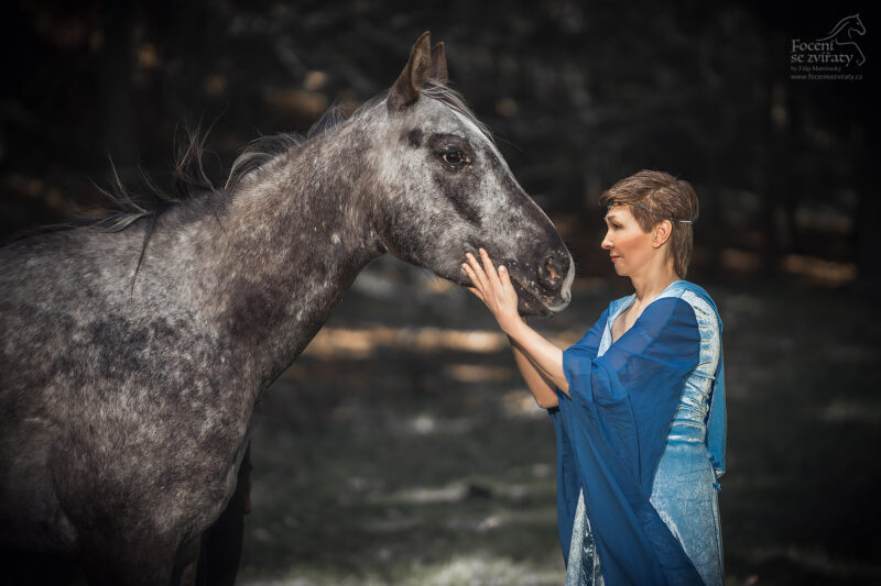Focení s koňmi