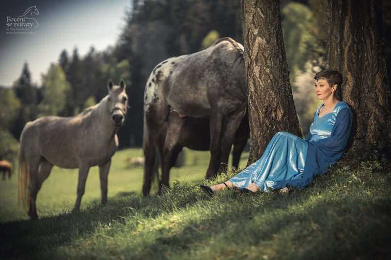 Focení s koňmi