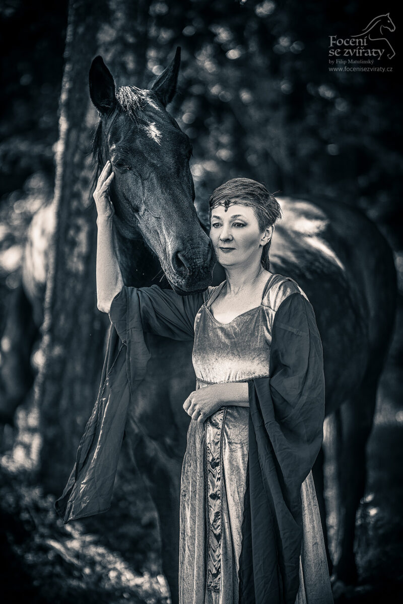 Focení s koňmi