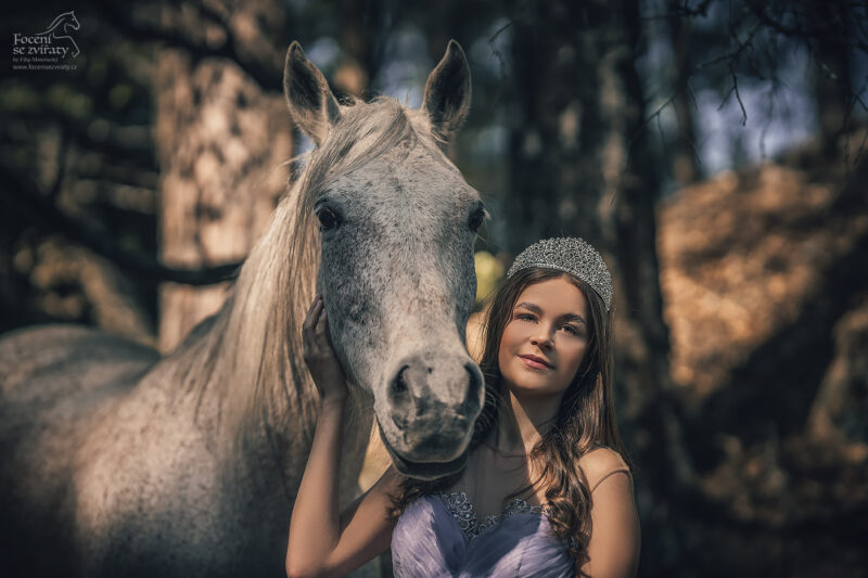 Focení s koňmi