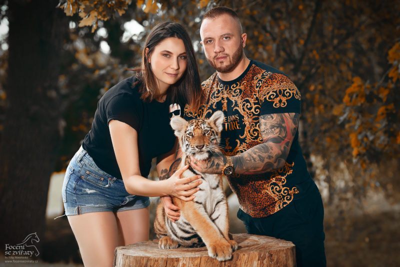 Focení s kočkami