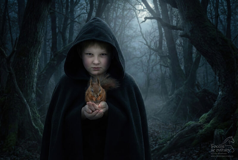 Focení s dravci a ostatními zvířátky