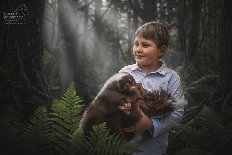 Focení s dravci a ostatními zvířátky
